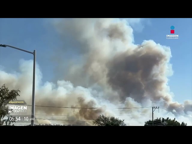 ⁣Emergencia atmosférica por incendio del Bosque de la Primavera | Noticias GDL con Ricardo Camarena