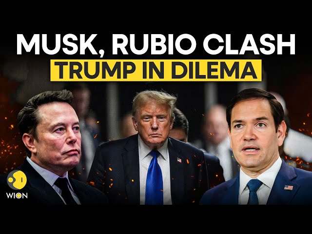 ⁣Trump Cabinet LIVE: Elon Musk VS Rubio | Fighting Erupts At Trump Cabinet Meeting? | Trump News