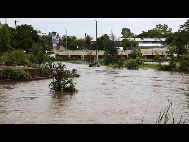 ⁣‘How is this not enough?’: Paul Murray slams public’s reaction to ex-Cyclone Alfred