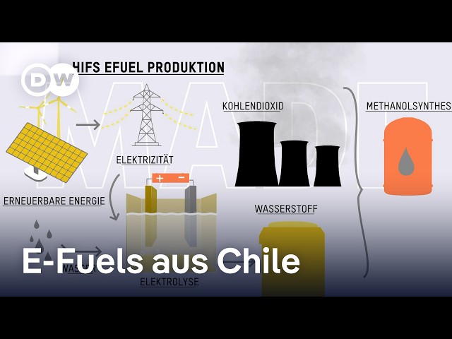 ⁣E-Fuels: Kosten, Vorteile und Umweltauswirkungen | DW Nachrichten