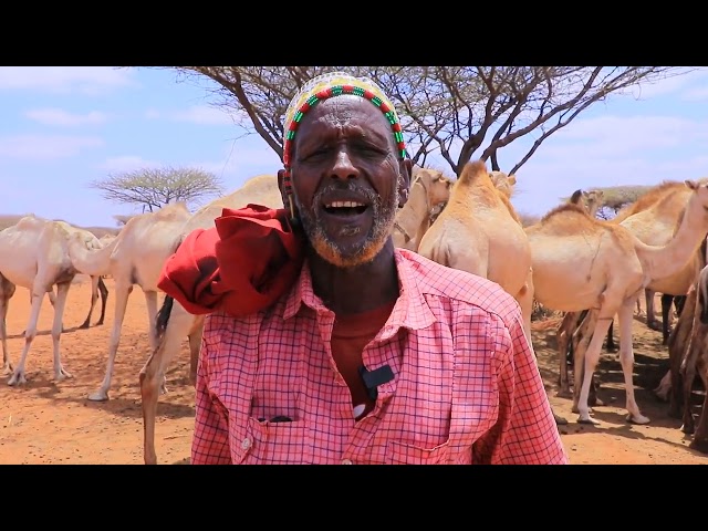 ⁣Wasiirka Gargaarka Galmudug ayaa xarigga ka jaray Ceel biyood laga hirgeliyey deegaanka Guryo-samo.