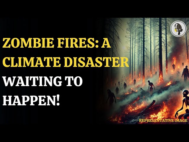 ⁣Zombie Fires: The Hidden Threat Fueled by Climate Change | WION Podcast