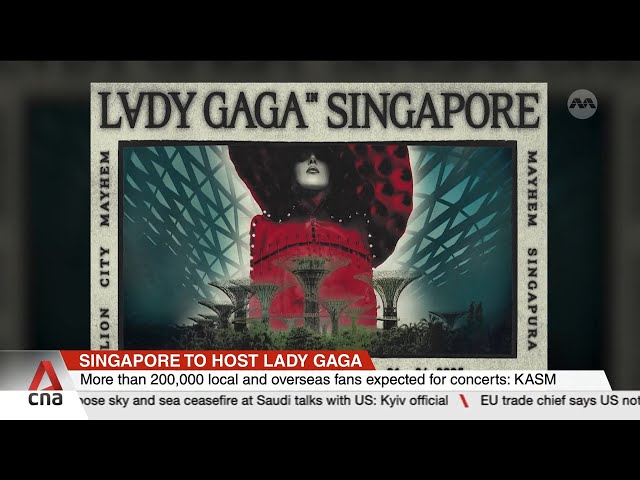 ⁣No government grants given for upcoming Lady Gaga concerts in Singapore: Edwin Tong