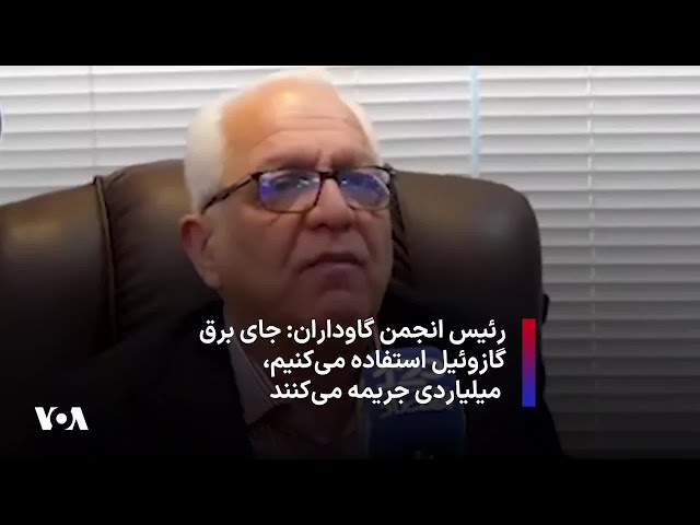 ⁣رئیس انجمن گاوداران: جای برق گازوئیل استفاده می‌کنیم، میلیاردی جریمه می‌کنند