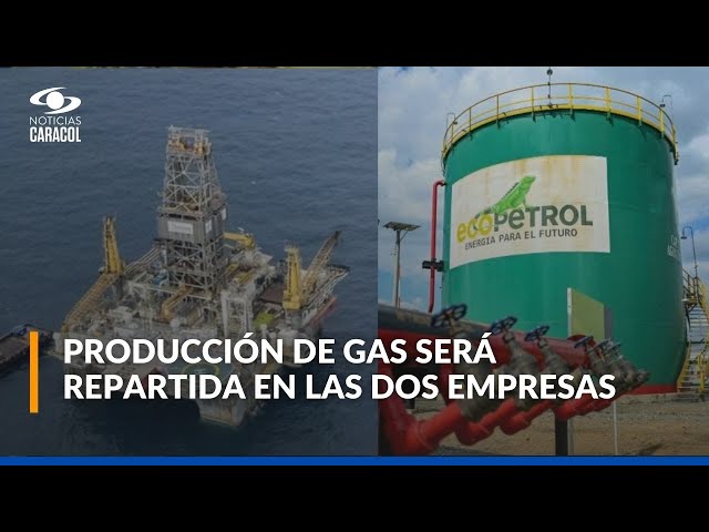 ⁣Ecopetrol anunció que, junto a Petrobras, realizaron una prueba en el pozo Sirus 2