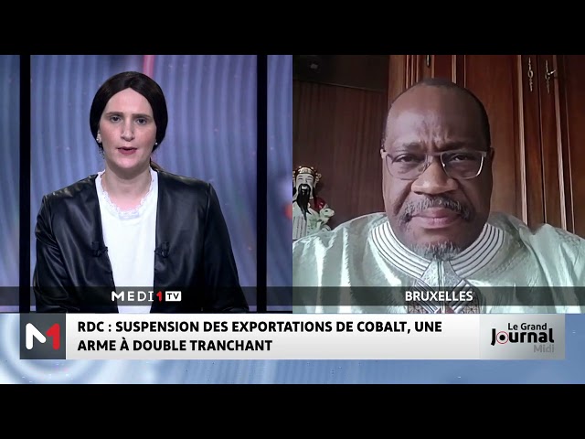 ⁣Suspension des exportations de Cobalt en RDC : Le point avec Henri N´zouzi