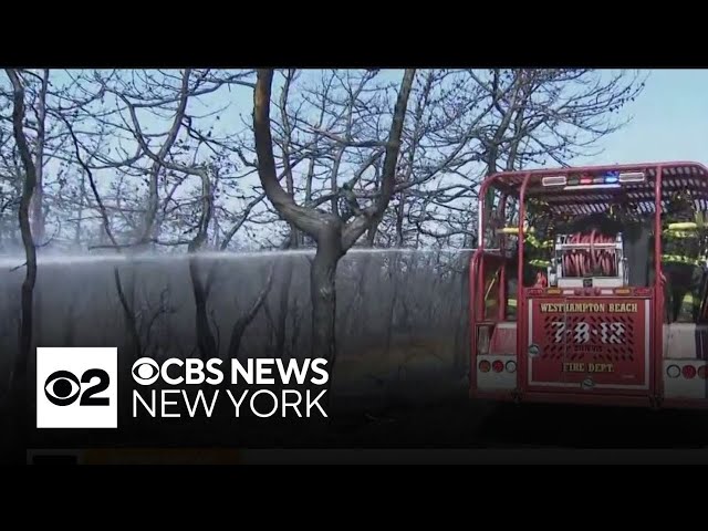 ⁣Burn ban in New York after Long Island wildfires