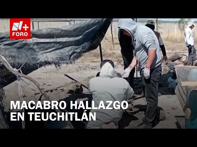 ⁣Hallan 3 crematorios clandestinos y restos calcinados en rancho de Teuchitlán - Las Noticias