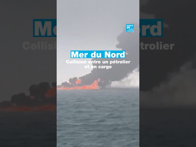 ⁣ Collision entre un #pétrolier et un #cargo en mer du Nord • FRANCE 24