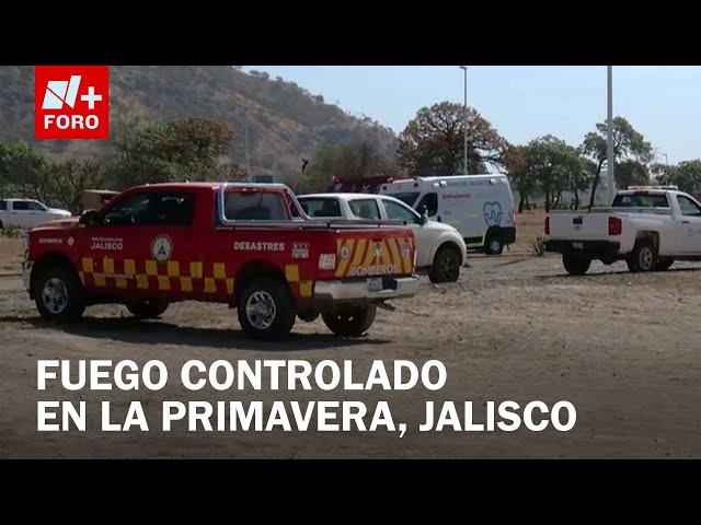 ⁣Controlan incendio forestal en el bosque 'La Primavera' en Zapopan, Jalisco - Las Noticias