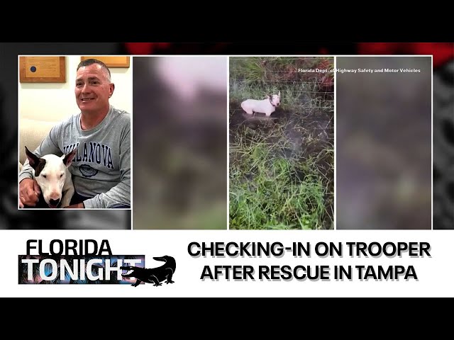 ⁣Florida Tonight: Checking-in on Trooper, good boy survival story (Ep. 19)