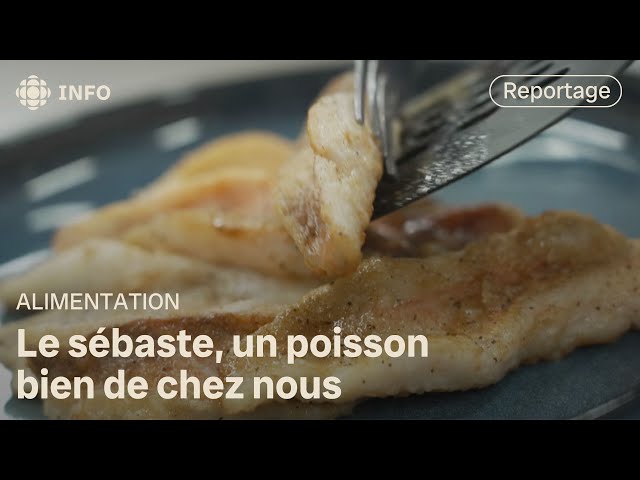 ⁣Retour sur le Salon de la fourchette bleue, à Québec