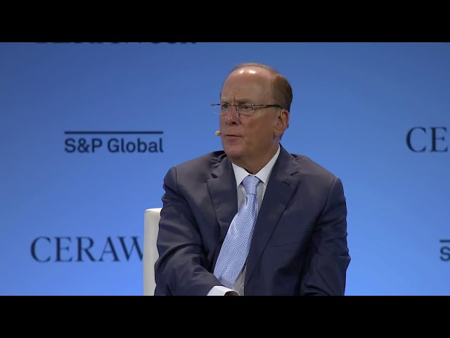 ⁣BlackRock CEO Larry Fink on its recent port acquisitions on the Panama Canal