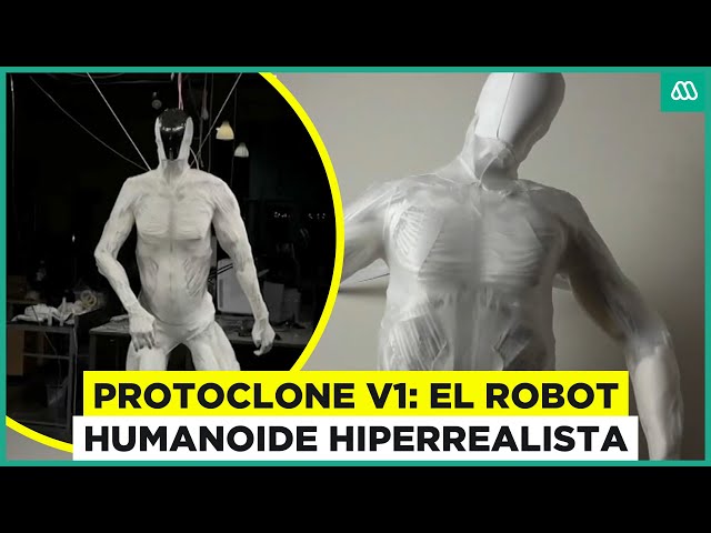 ⁣Con músculos y cartílagos: Empresa estadounidense crea robot humanoide hiperrealista