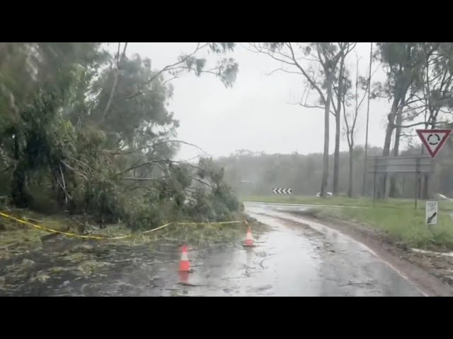 ⁣Flood emergency warnings eased in Queensland and New South Wales