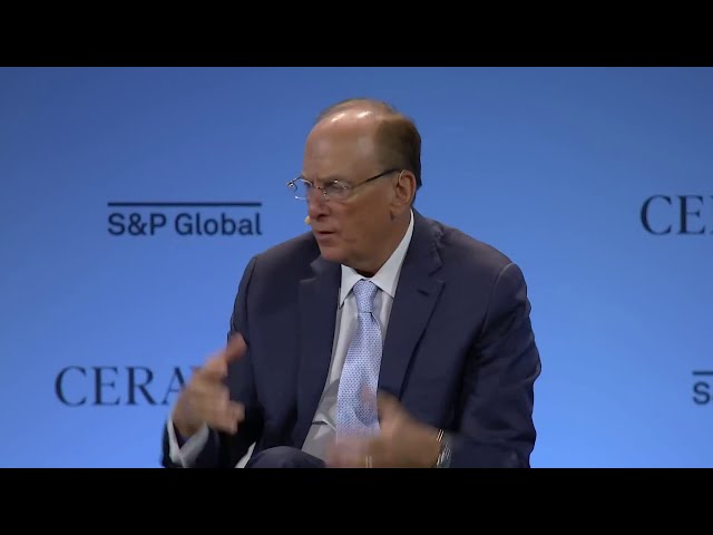 ⁣BlackRock CEO Larry Fink: Answer to U.S. deficit isn't cutting, it's to grow the economy