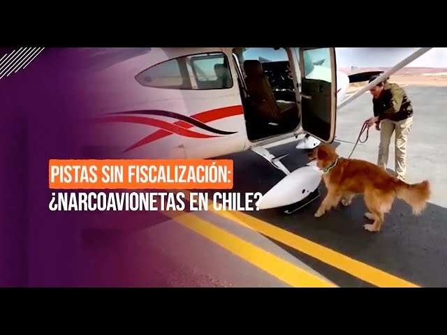 ⁣Reportajes Teletrece | Pistas sin fiscalización: ¿Narcoavionetas en Chile?