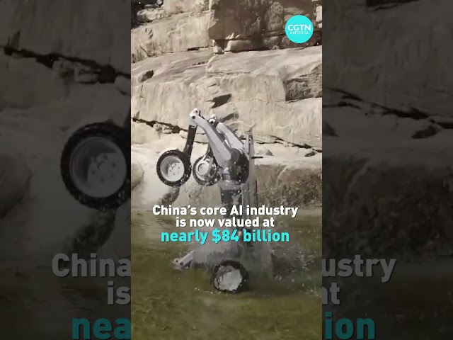 ⁣China's robotics industry surges with cutting-edge innovations