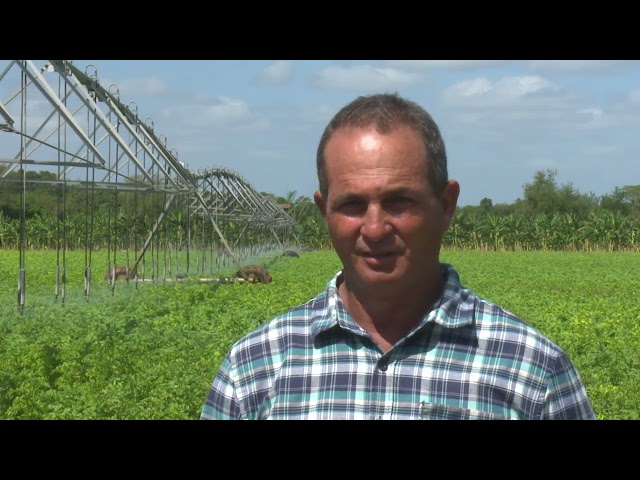 ⁣Fructifica en #LasTunas iniciativa para el rescate del cultivo de la papa