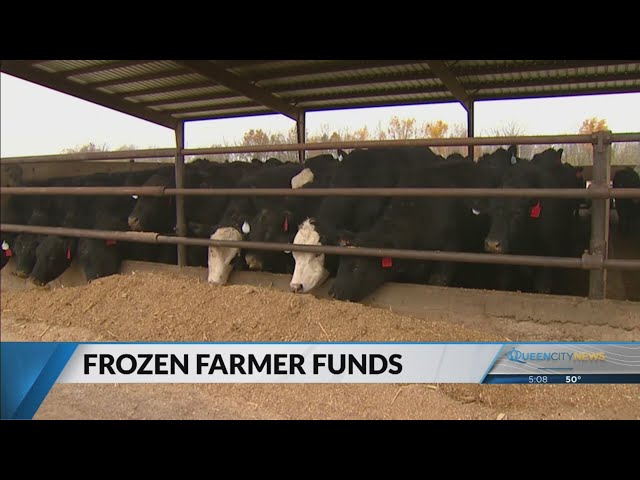 ⁣NC farmers concerned on whether they will receive federal payments