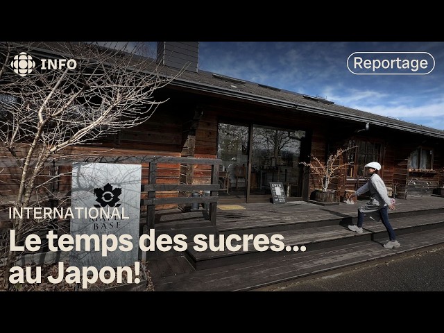 ⁣Saison des sucres au japon : inspirée par les acériculteurs canadiens