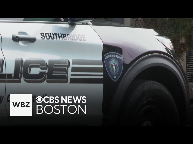 ⁣Bobcat attacks police officer in Southbridge