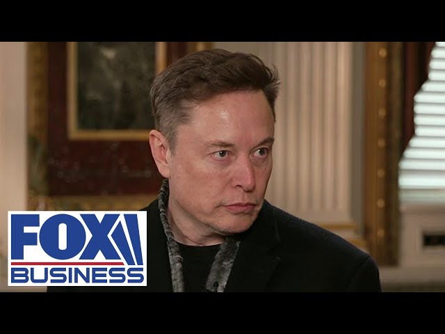 ⁣Elon Musk exposes why Democrats don’t want ‘waste and fraud’ to be turned off