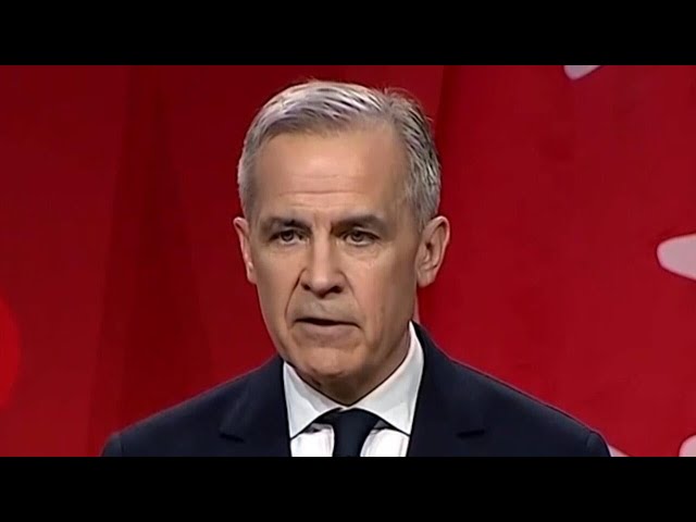 ⁣Who is Mark Carney, Canada's next prime minister?