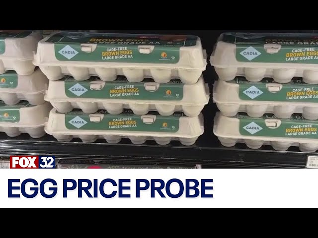 ⁣Soaring egg prices under investigation by U.S. Justice Department