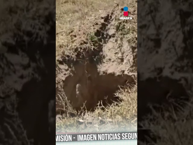 ⁣Buscadoras de desaparecidos hallan osamenta en Jalisco | Noticias GDL | Shorts  #imagentelevisión