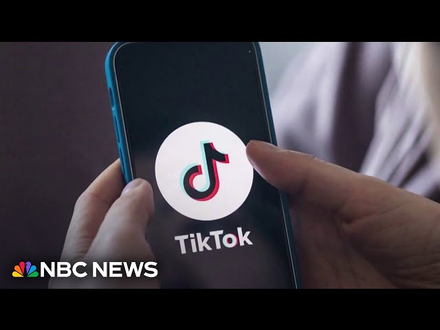 ⁣Trump considers four bids to buy TikTok as deadline for deal looms 