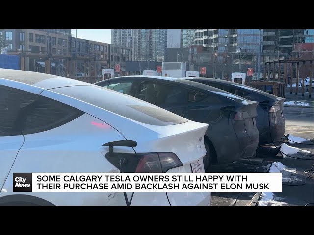 Some Calgary Tesla owners still happy with their purchase amid backlash against Elon Musk