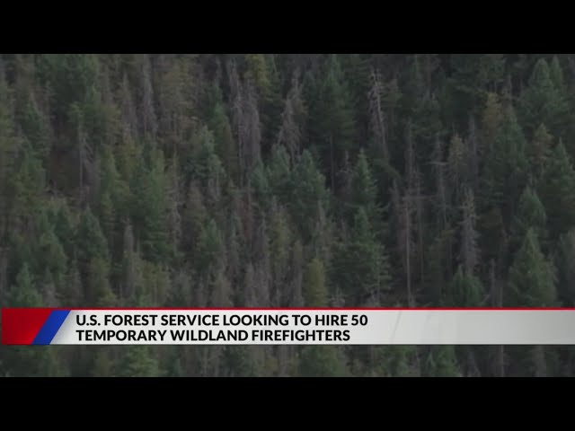 US Forest Service to hire 50 temporary firefighters