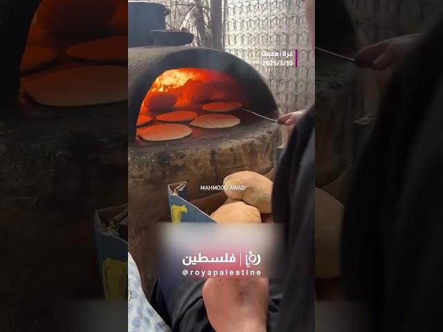 ⁣أفران الطين  بديل يلجأ إليه أهالي القطاع في ظل إغلاق المخابز