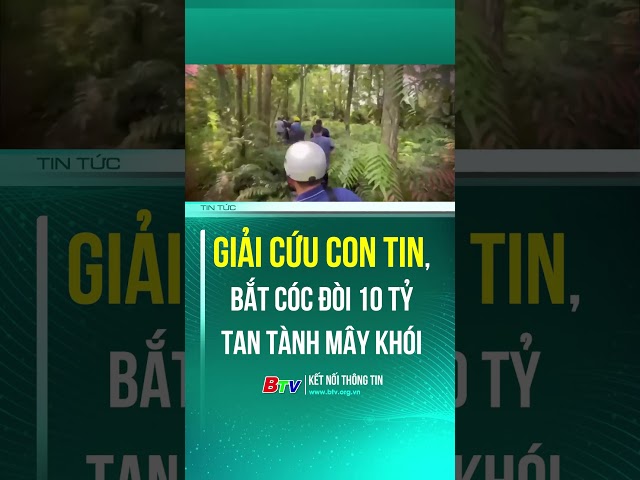 ⁣Giải cứu con tin, bắt cóc đòi 10 tỷ tan tành mây khói | BTV - TRUYỀN HÌNH BÌNH DƯƠNG