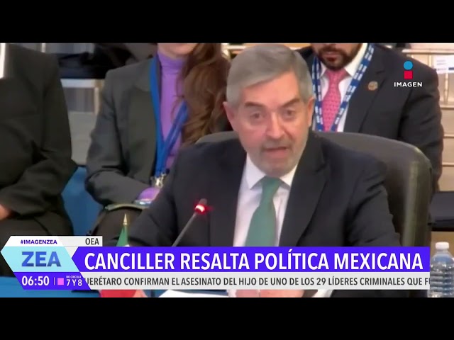 ⁣Juan Ramón de la Fuente invita a países de la OEA a trabajar bajo los principios de México