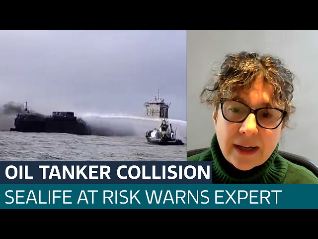 Oil tanker collision could be 'absolutely catastrophic' for marine life, expert warns | IT