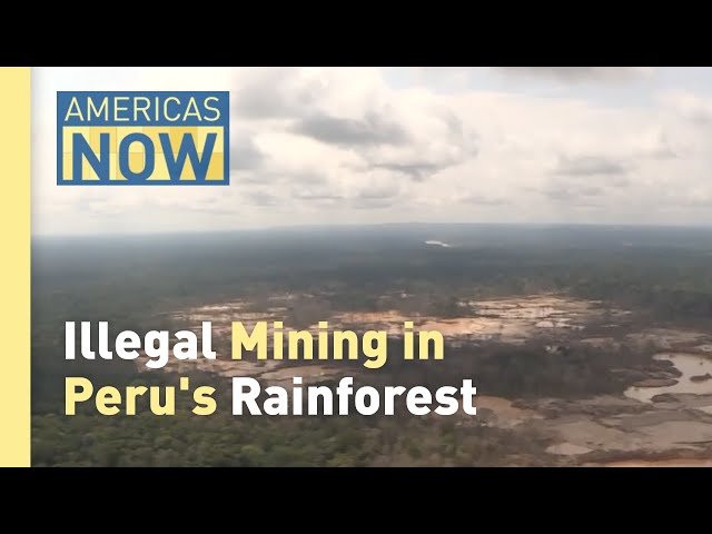 ⁣Mercury Poisoning and the Peruvian Rainforest Crisis