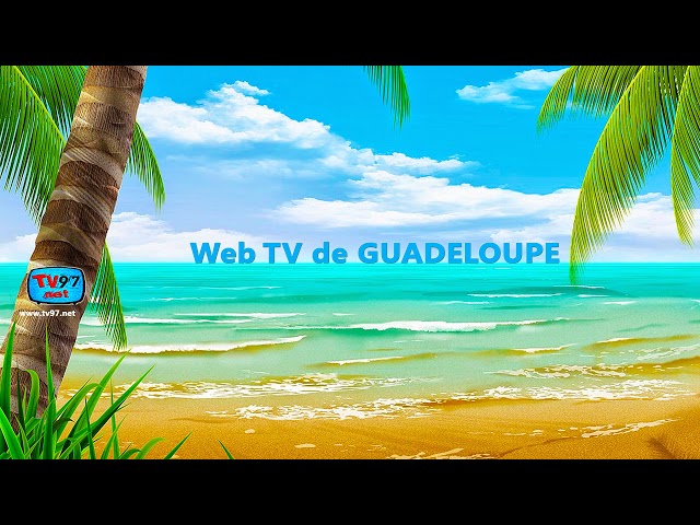 Résultats des Parades Lundi et Mardi Gras 2025 de Guadeloupe