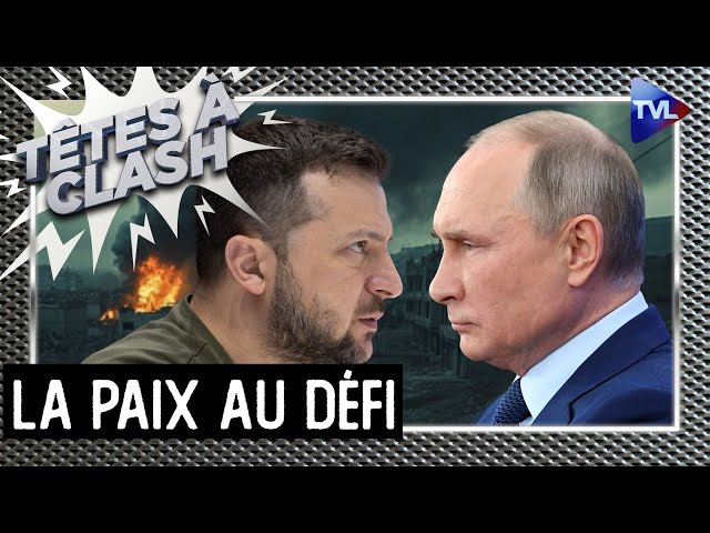 Ukraine : Cessez-le-feu mort-né ? - Têtes à Clash - TVL