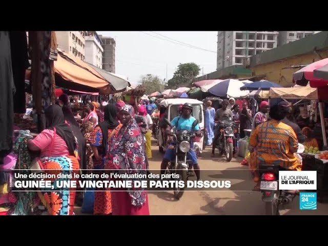 ⁣En Guinée une vingtaine de partis dissous dans le cadre de l'évaluation des partis • FRANCE 24