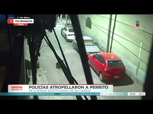 ⁣Patrulla atropella a perrito en Tulyehualco, Xochimilco | Noticias con Crystal Mendivil