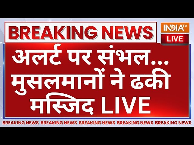 ⁣Big Breaking News on Holi LIVE: अलर्ट पर संभल... मुसलमानों ने ढकी मस्जिद! Sambhal Masjid