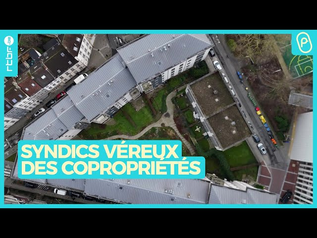 ⁣Syndics véreux : quand la copropriété vire au cauchemar - On n'est pas des Pigeons