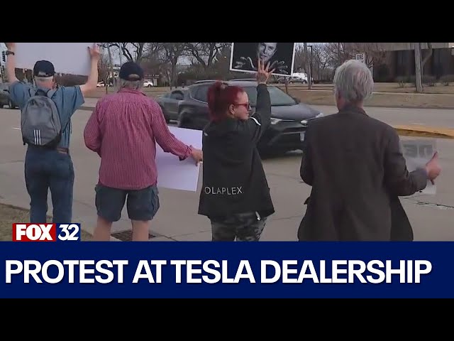 Protesters rally at Schaumburg Tesla dealership against Elon Musk