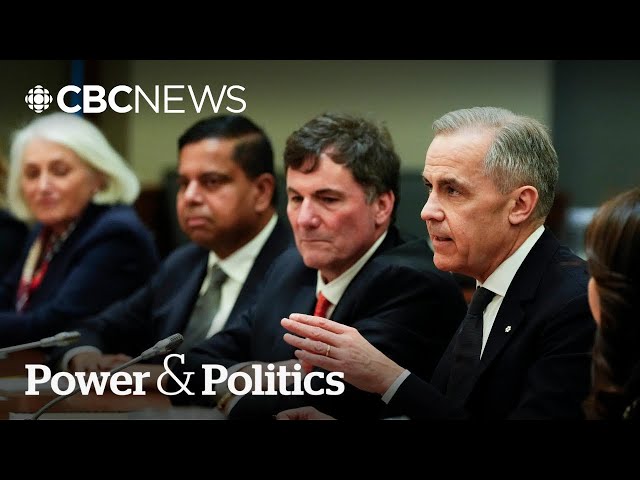 ⁣Political Pulse Panel: PM Carney and cabinet sworn in with election campaign likely days away