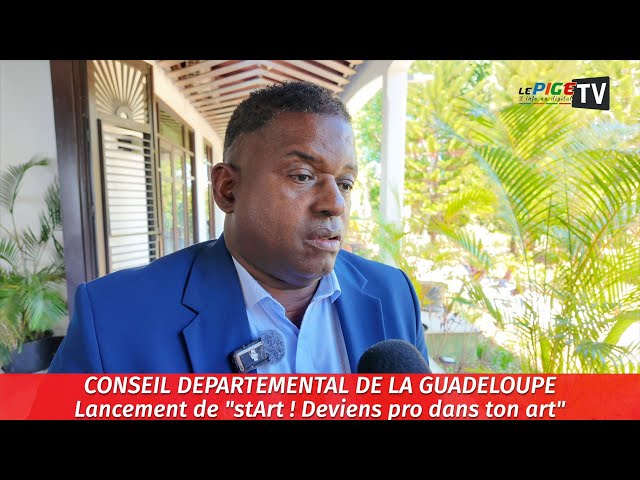 Conseil Départemental de la Guadeloupe : Lancement de "stArt ! Deviens pro dans ton art"