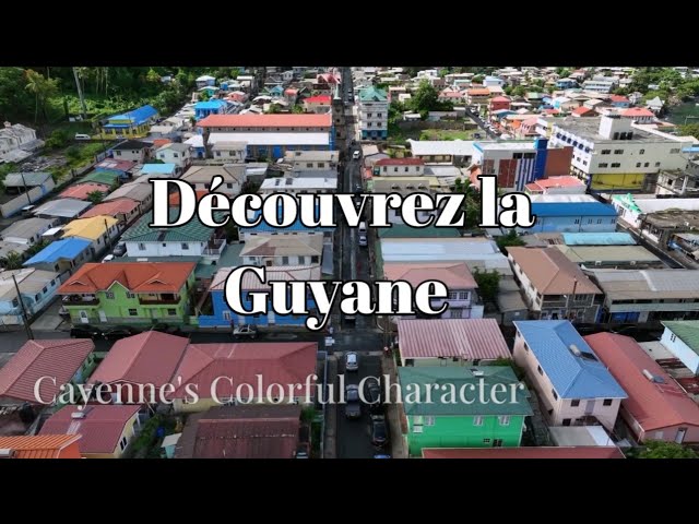 ⁣Découvrez la Guyane : histoire cuisine et plages paradisiaques