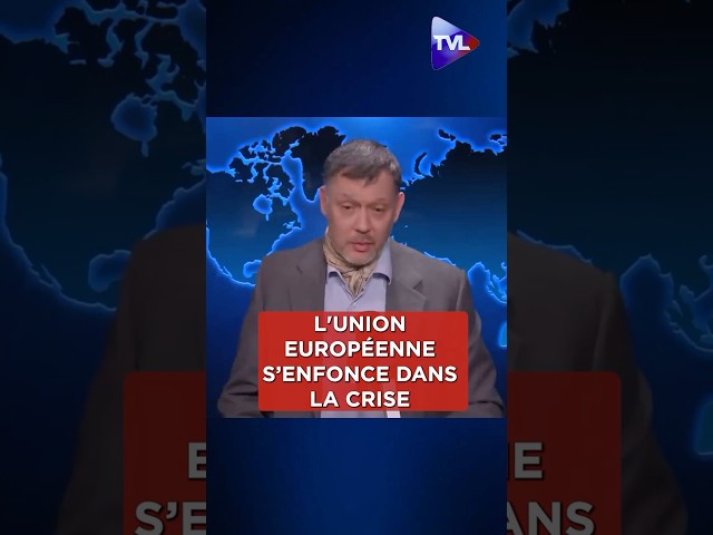 ⁣« L’Union européenne est économiquement malade, elle s'enfonce dans la crise (...)