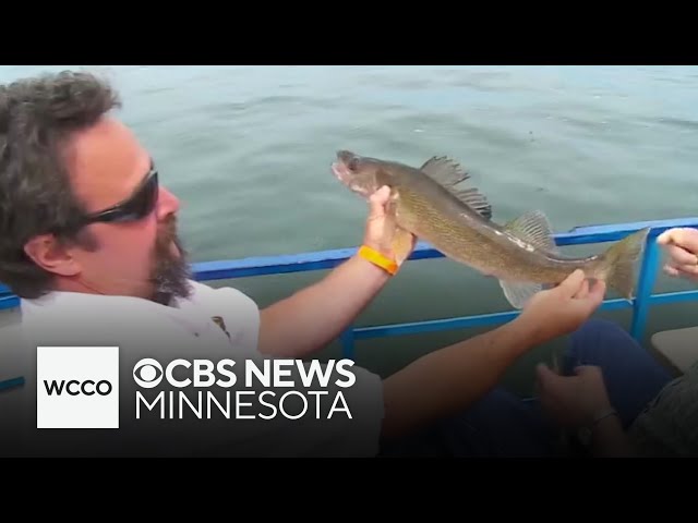 ⁣A change to Mille Lacs' walleye catch rules could bring more anglers this summer